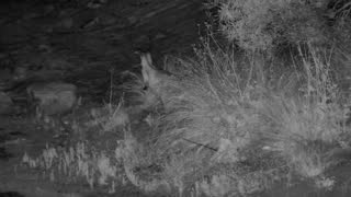 Still 3 from this detection