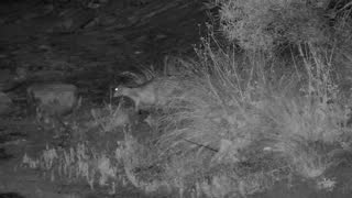 Still 2 from this detection