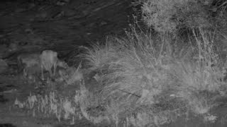 Still 1 from this detection