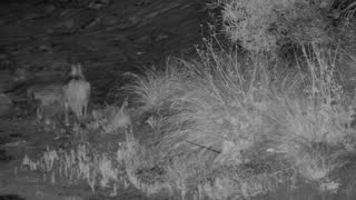 Still 3 from this detection