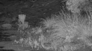 Still 1 from this detection