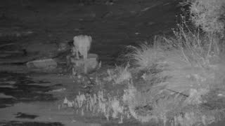 Still 3 from this detection