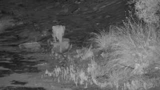 Still 1 from this detection
