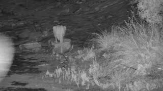 Still 1 from this detection