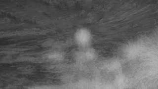 Still 1 from this detection