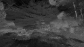 Still 3 from this detection