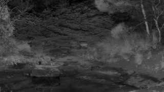 Still 3 from this detection
