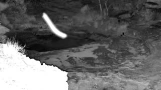 Still 1 from this detection