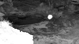 Still 1 from this detection