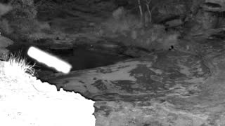 Still 1 from this detection