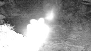 Still 2 from this detection