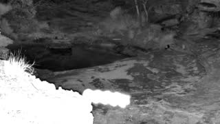 Still 2 from this detection