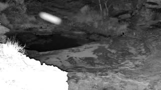 Still 3 from this detection