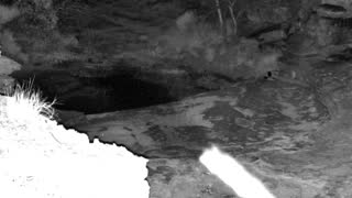 Still 3 from this detection