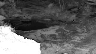 Still 1 from this detection