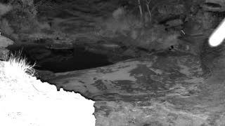 Still 2 from this detection