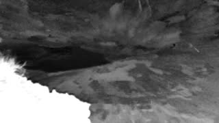 Still 1 from this detection