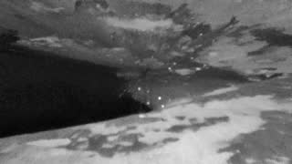 Still 2 from this detection