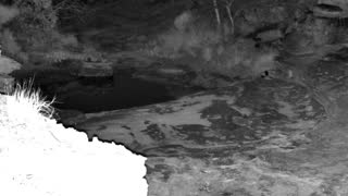 Still 3 from this detection
