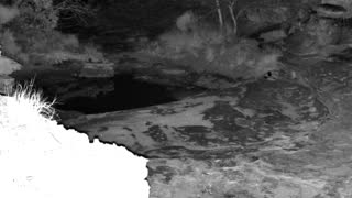 Still 2 from this detection