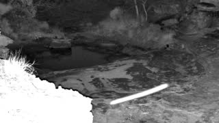 Still 3 from this detection