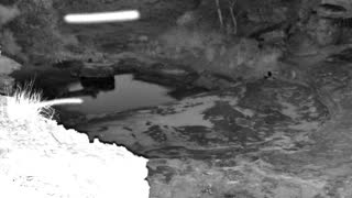 Still 2 from this detection