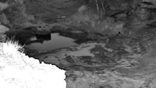 Still 3 from this detection