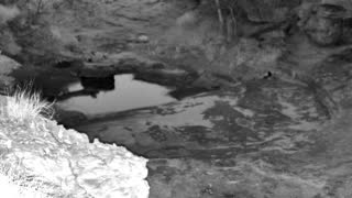 Still 2 from this detection