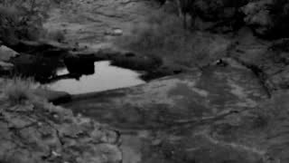 Still 1 from this detection