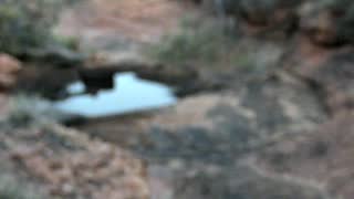 Still 3 from this detection