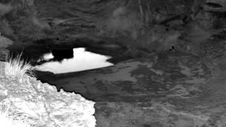 Still 1 from this detection