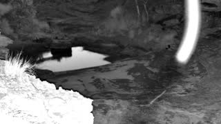 Still 1 from this detection