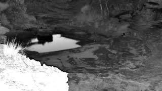 Still 2 from this detection