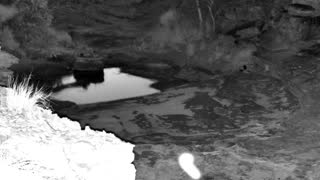 Still 1 from this detection