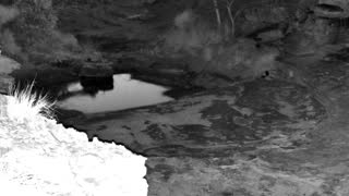 Still 2 from this detection