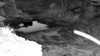 Still 2 from this detection
