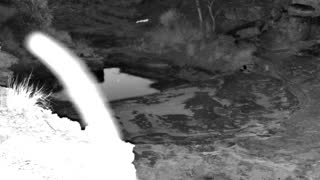 Still 1 from this detection