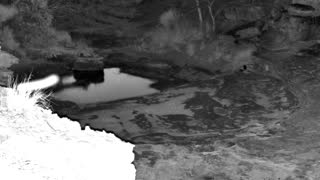 Still 1 from this detection