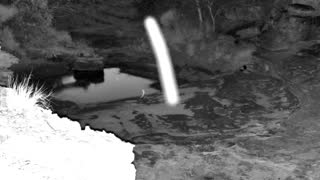Still 1 from this detection
