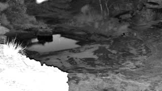 Still 2 from this detection