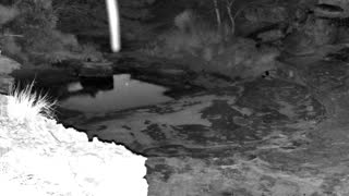 Still 2 from this detection