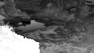 Still 2 from this detection