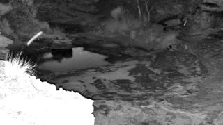 Still 2 from this detection