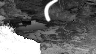 Still 2 from this detection