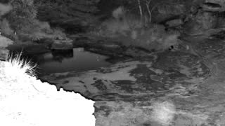 Still 1 from this detection