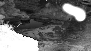Still 1 from this detection
