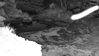 Still 2 from this detection