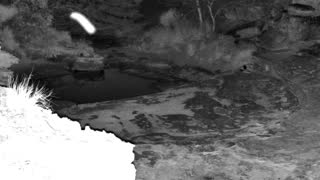 Still 1 from this detection