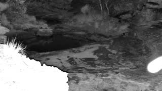 Still 2 from this detection