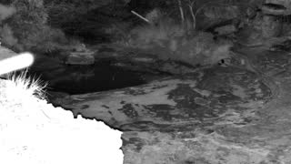 Still 2 from this detection